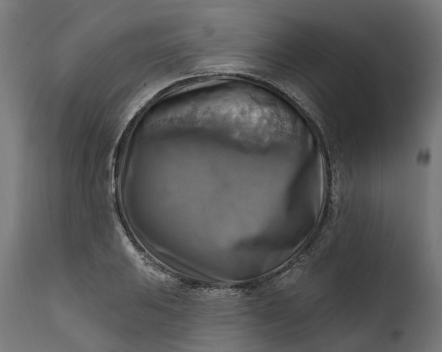 X0000111511031200907281309