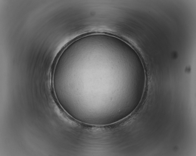 X0000111511032200907281309