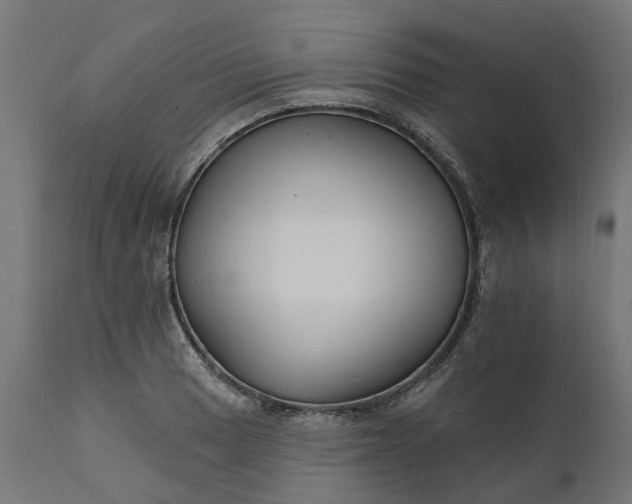 X0000111511033200907281309