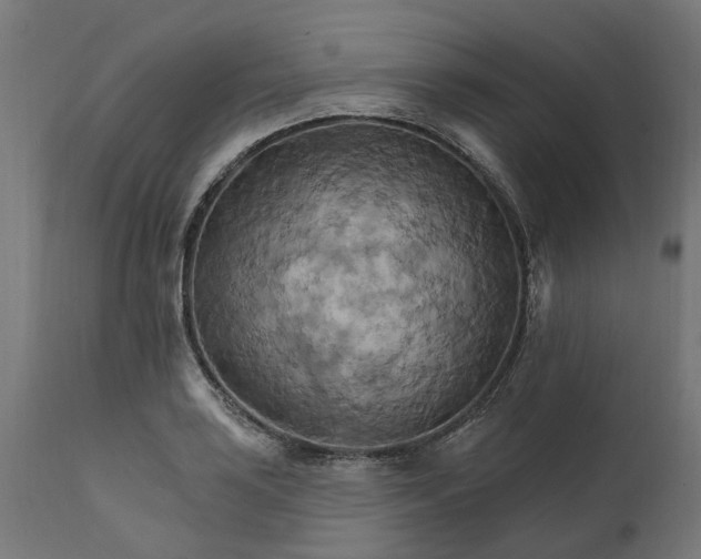 X0000111511035200907281309