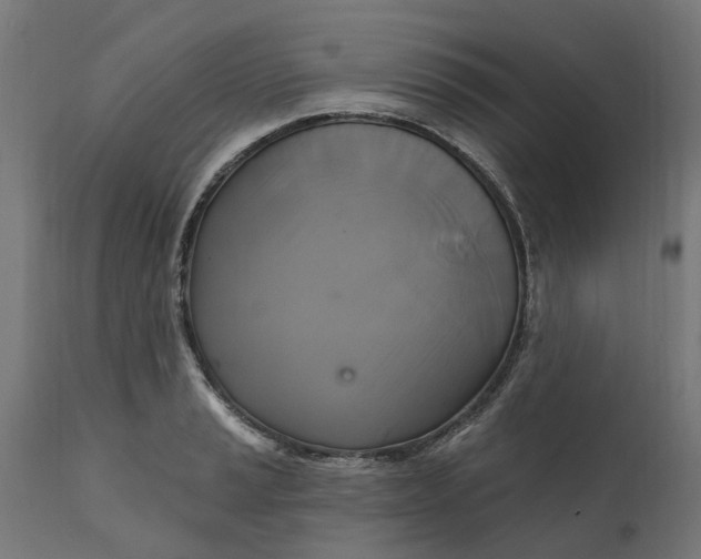 X0000111511037200907281310