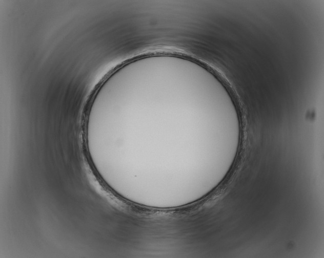 X0000111511038200907281310