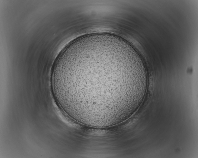 X0000111511039200907281310