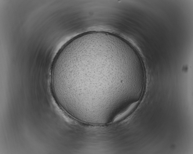 X0000111511040200907281310