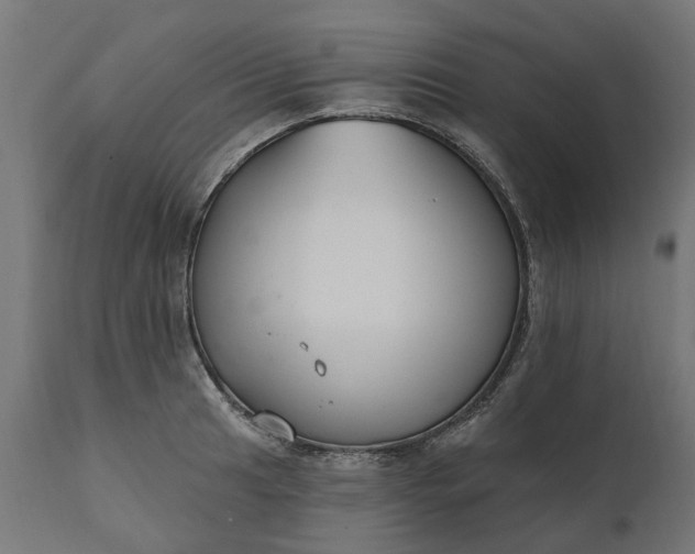 X0000111511041200907281310