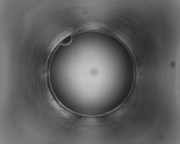 X0000111511042200907281310