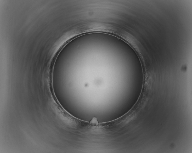 X0000111511043200907281310