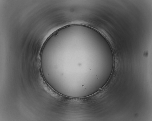 X0000111511044200907281310