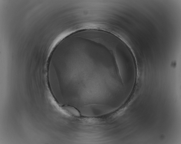 X0000111511045200907281310