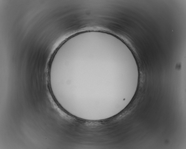 X0000111511046200907281310