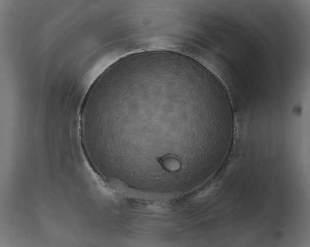 X0000111511047200907281310