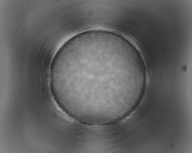 X0000111511048200907281310