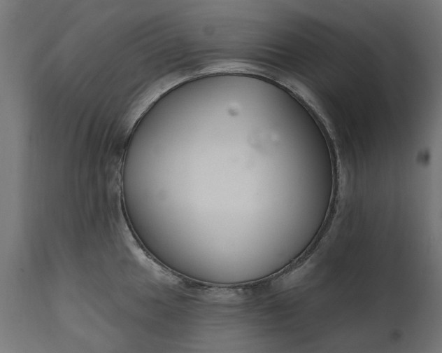 X0000111511049200907281310