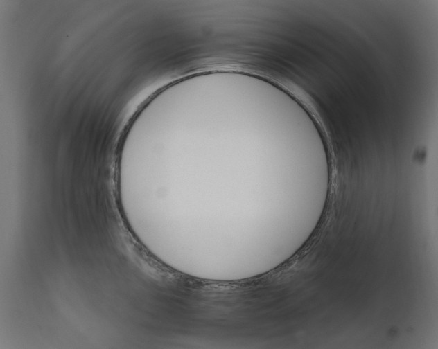 X0000111511051200907281310