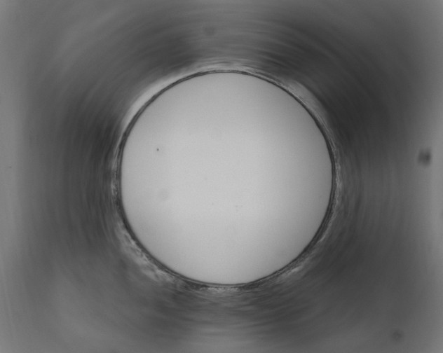 X0000111511052200907281310