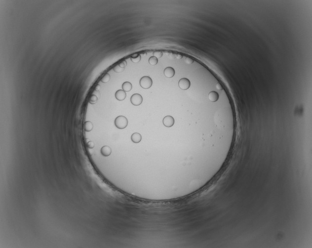 X0000111511053200907281310