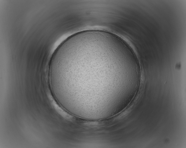 X0000111511054200907281310