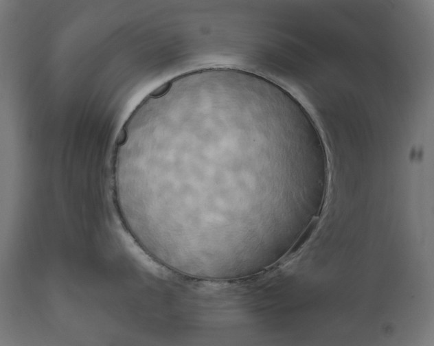 X0000111511056200907281310