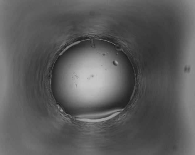 X0000111511057200907281309