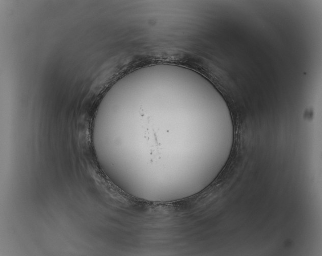 X0000111511058200907281309
