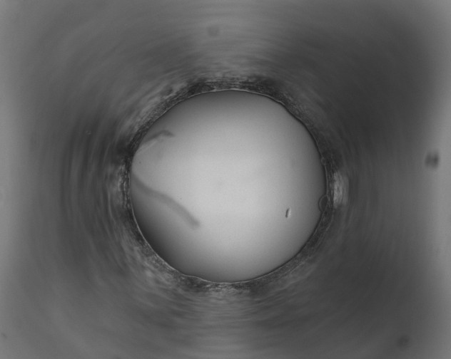 X0000111511059200907281309