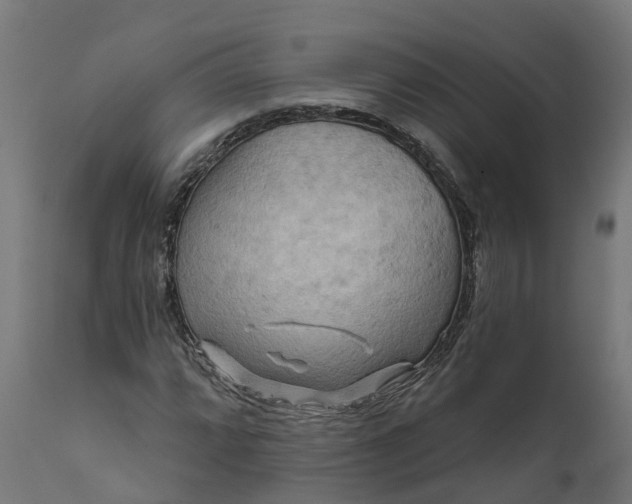 X0000111511064200907281309