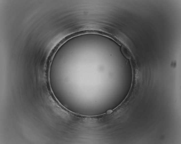 X0000111511068200907281309