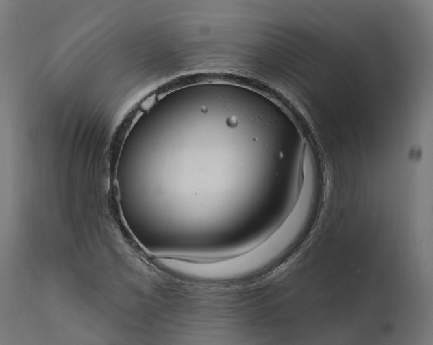 X0000111511069200907281309