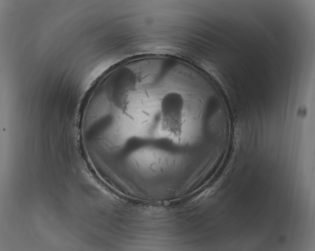 X0000111511071200907281309