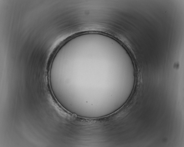 X0000111511072200907281309