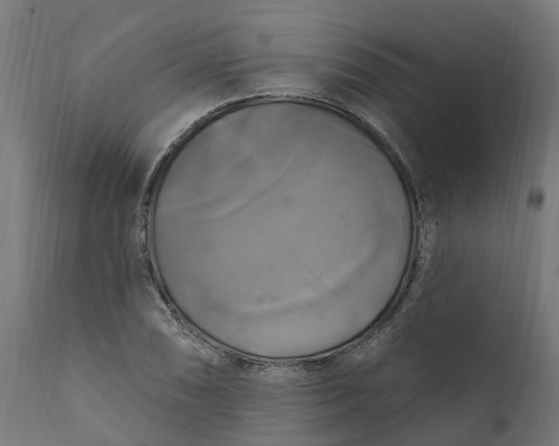 X0000111511074200907281309