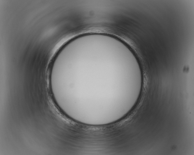 X0000111511078200907281309