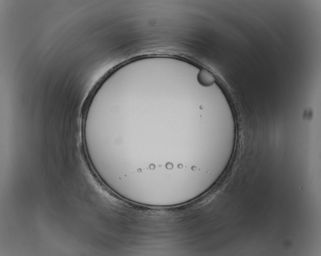 X0000111511079200907281309