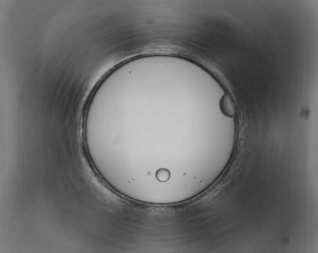 X0000111511083200907281309