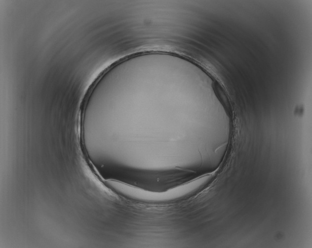 X0000111511084200907281309