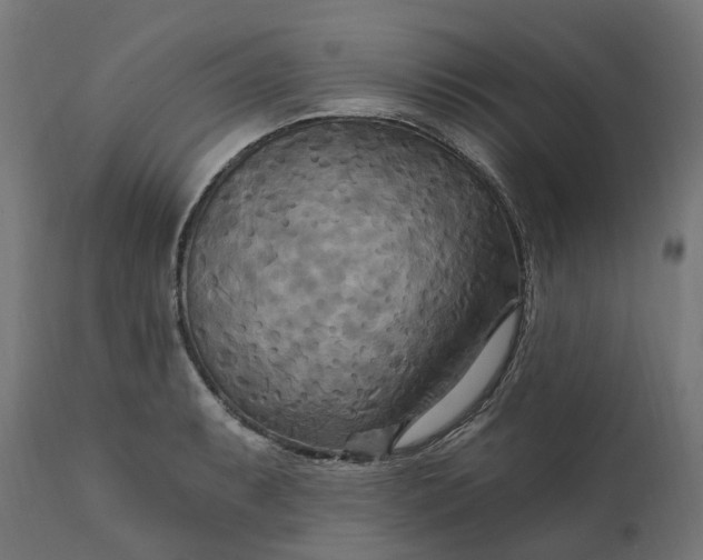 X0000111511087200907281309