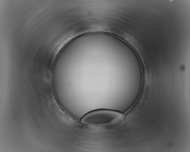 X0000111511089200907281309