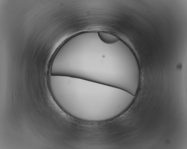 X0000111511091200907281309