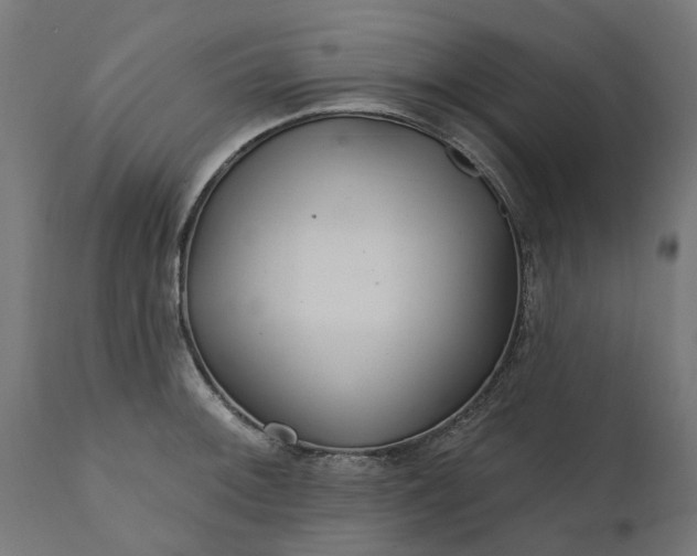 X0000111511092200907281309