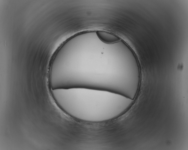 X0000111511093200907281309