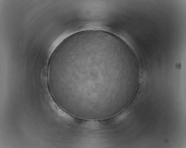 X0000111511094200907281309