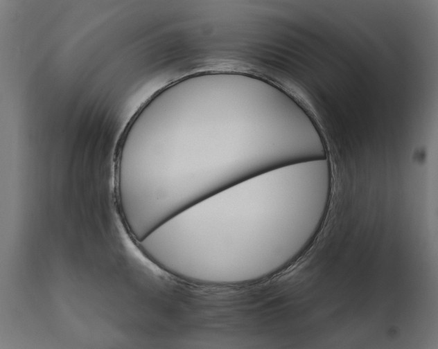 X0000111511095200907281309