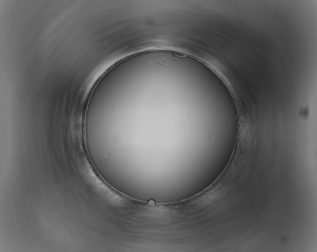 X0000111511100200907281309