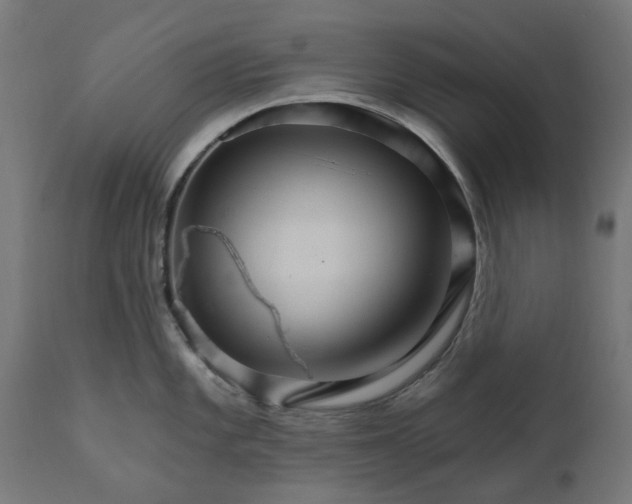 X0000111511101200907281308