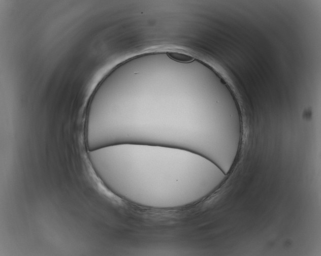 X0000111511102200907281308