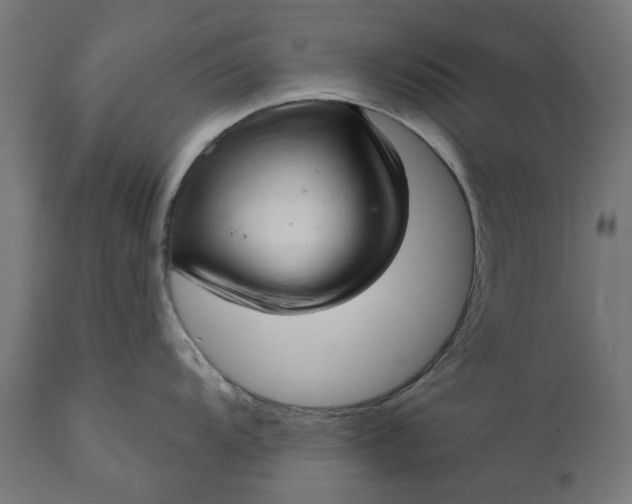 X0000111511104200907281308