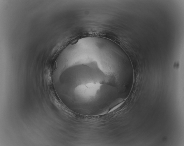 X0000111511106200907281308