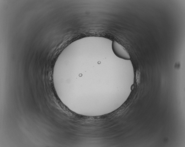 X0000111511107200907281308