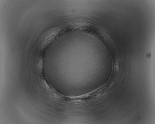 X0000111511108200907281308