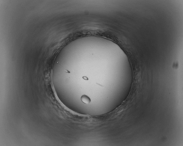 X0000111511109200907281308
